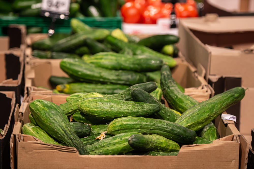 Exporting Agricultural Produce